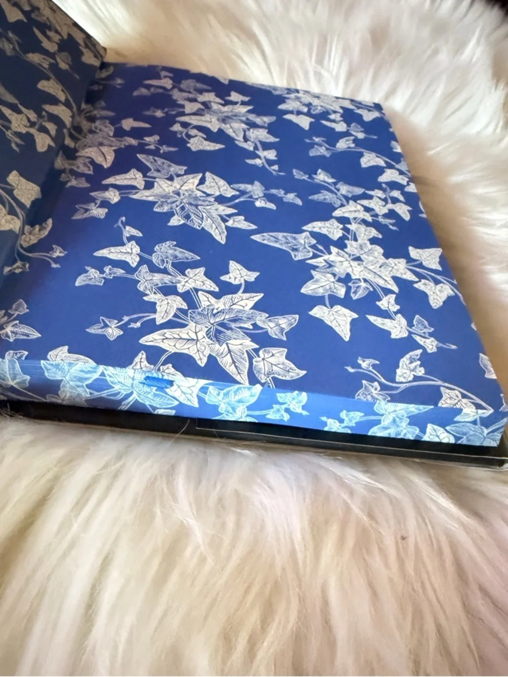 Powerful Lauren Robert’s Hardcover